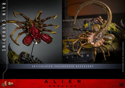 Alien: Romulus Movie Masterpiece Action Figure 1/6 Rain Carradine 26cm