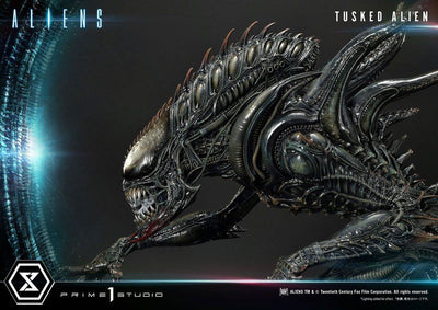 Aliens Premium Masterline Series Statue Tusked Alien Bonus Version (Dark Horse Comics) 72cm - Scale Statue - Prime 1 Studio - Hobby Figures UK