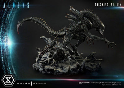 Aliens Premium Masterline Series Statue Tusked Alien Bonus Version (Dark Horse Comics) 72cm - Scale Statue - Prime 1 Studio - Hobby Figures UK