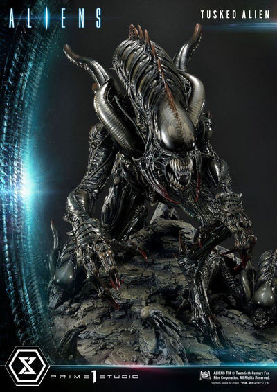 Aliens Premium Masterline Series Statue Tusked Alien Bonus Version (Dark Horse Comics) 72cm - Scale Statue - Prime 1 Studio - Hobby Figures UK