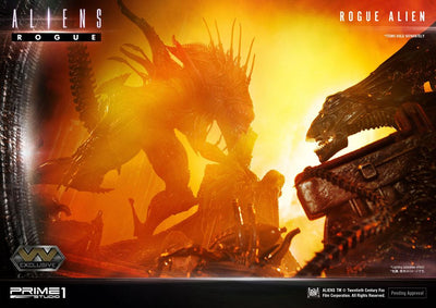 Aliens Premium Masterline Series Statues Rogue Alien & Rogue Alien Exclusive 66cm Assortment (3) - Scale Statue - Prime 1 Studio - Hobby Figures UK