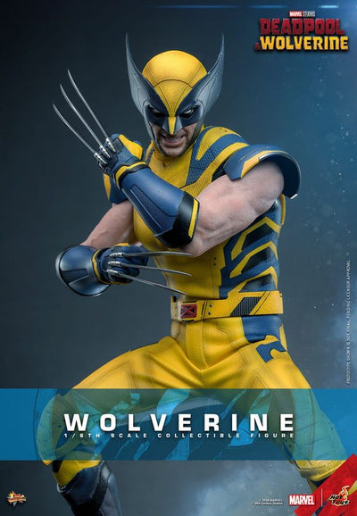 Deadpool & Wolverine Movie Masterpiece Action Figure 1/6 Wolverine 31cm - Action Figures - Hot Toys - Hobby Figures UK