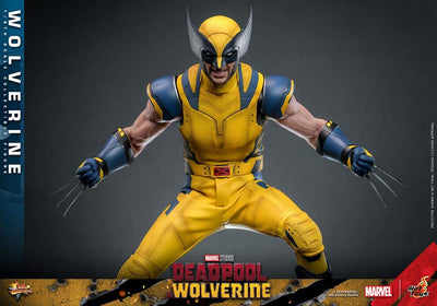 Deadpool & Wolverine Movie Masterpiece Action Figure 1/6 Wolverine 31cm - Action Figures - Hot Toys - Hobby Figures UK