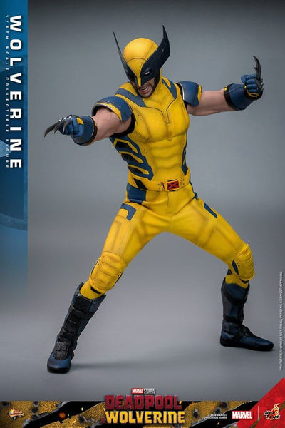 Deadpool & Wolverine Movie Masterpiece Action Figure 1/6 Wolverine 31cm - Action Figures - Hot Toys - Hobby Figures UK