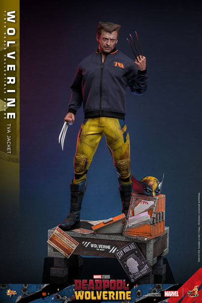 Deadpool & Wolverine Movie Masterpiece Action Figure 1/6 Wolverine (TVA Jacket Version) 31cm - Action Figures - Hot Toys - Hobby Figures UK