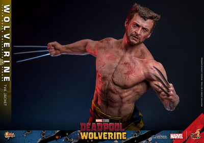Deadpool & Wolverine Movie Masterpiece Action Figure 1/6 Wolverine (TVA Jacket Version) 31cm - Action Figures - Hot Toys - Hobby Figures UK