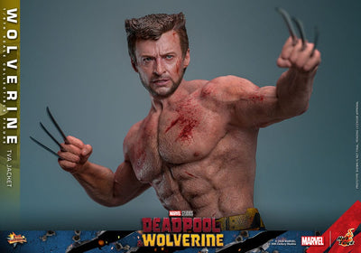 Deadpool & Wolverine Movie Masterpiece Action Figure 1/6 Wolverine (TVA Jacket Version) 31cm - Action Figures - Hot Toys - Hobby Figures UK
