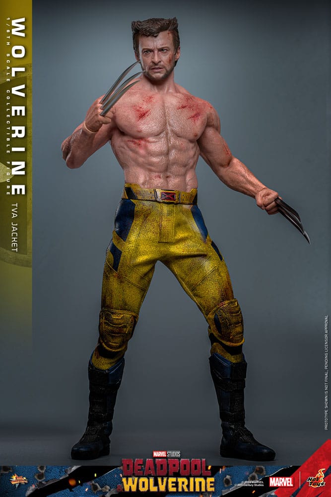 Deadpool & Wolverine Movie Masterpiece Action Figure 1/6 Wolverine (TVA Jacket Version) 31cm - Action Figures - Hot Toys - Hobby Figures UK