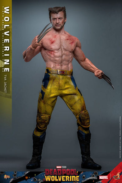 Deadpool & Wolverine Movie Masterpiece Action Figure 1/6 Wolverine (TVA Jacket Version) 31cm - Action Figures - Hot Toys - Hobby Figures UK