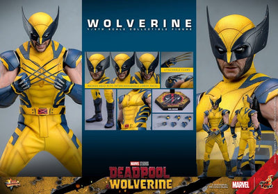 Deadpool & Wolverine Movie Masterpiece Action Figure 1/6 Wolverine 31cm - Action Figures - Hot Toys - Hobby Figures UK