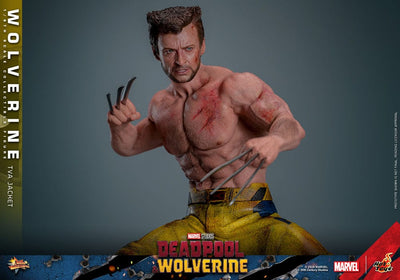 Deadpool & Wolverine Movie Masterpiece Action Figure 1/6 Wolverine (TVA Jacket Version) 31cm - Action Figures - Hot Toys - Hobby Figures UK