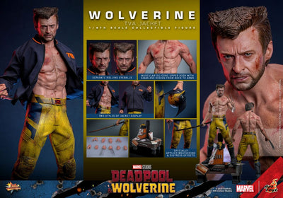 Deadpool & Wolverine Movie Masterpiece Action Figure 1/6 Wolverine (TVA Jacket Version) 31cm - Action Figures - Hot Toys - Hobby Figures UK