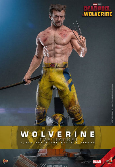 Deadpool & Wolverine Movie Masterpiece Action Figure 1/6 Wolverine (TVA Jacket Version) 31cm - Action Figures - Hot Toys - Hobby Figures UK