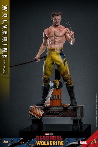 Deadpool & Wolverine Movie Masterpiece Action Figure 1/6 Wolverine (TVA Jacket Version) 31cm - Action Figures - Hot Toys - Hobby Figures UK