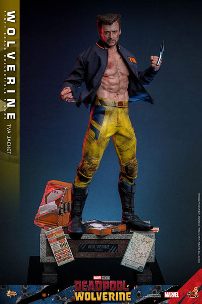 Deadpool & Wolverine Movie Masterpiece Action Figure 1/6 Wolverine (TVA Jacket Version) 31cm - Action Figures - Hot Toys - Hobby Figures UK