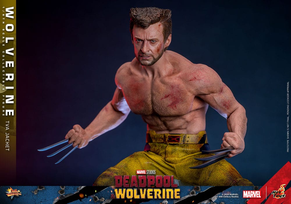 Deadpool & Wolverine Movie Masterpiece Action Figure 1/6 Wolverine (TVA Jacket Version) 31cm - Action Figures - Hot Toys - Hobby Figures UK