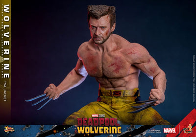 Deadpool & Wolverine Movie Masterpiece Action Figure 1/6 Wolverine (TVA Jacket Version) 31cm - Action Figures - Hot Toys - Hobby Figures UK