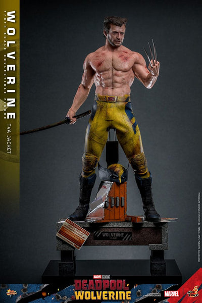 Deadpool & Wolverine Movie Masterpiece Action Figure 1/6 Wolverine (TVA Jacket Version) 31cm - Action Figures - Hot Toys - Hobby Figures UK