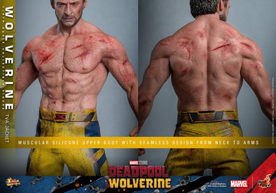 Deadpool & Wolverine Movie Masterpiece Action Figure 1/6 Wolverine (TVA Jacket Version) 31cm - Action Figures - Hot Toys - Hobby Figures UK