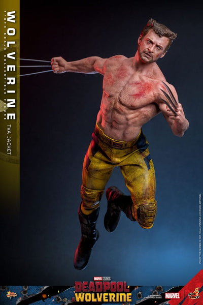 Deadpool & Wolverine Movie Masterpiece Action Figure 1/6 Wolverine (TVA Jacket Version) 31cm - Action Figures - Hot Toys - Hobby Figures UK