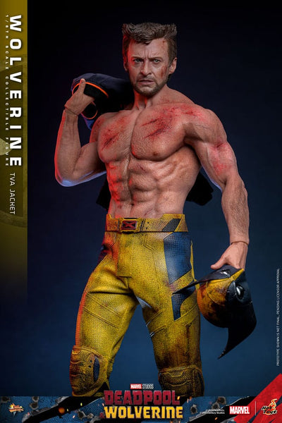 Deadpool & Wolverine Movie Masterpiece Action Figure 1/6 Wolverine (TVA Jacket Version) 31cm - Action Figures - Hot Toys - Hobby Figures UK