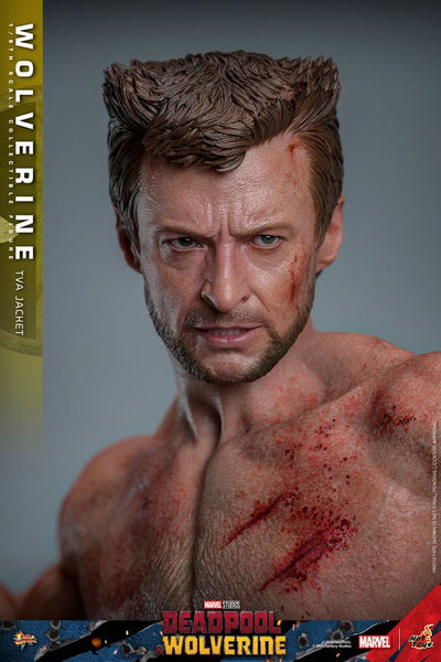 Deadpool & Wolverine Movie Masterpiece Action Figure 1/6 Wolverine (TVA Jacket Version) 31cm - Action Figures - Hot Toys - Hobby Figures UK