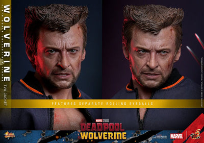 Deadpool & Wolverine Movie Masterpiece Action Figure 1/6 Wolverine (TVA Jacket Version) 31cm - Action Figures - Hot Toys - Hobby Figures UK