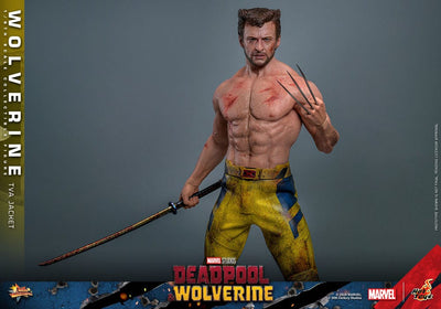 Deadpool & Wolverine Movie Masterpiece Action Figure 1/6 Wolverine (TVA Jacket Version) 31cm - Action Figures - Hot Toys - Hobby Figures UK