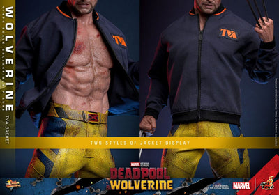 Deadpool & Wolverine Movie Masterpiece Action Figure 1/6 Wolverine (TVA Jacket Version) 31cm - Action Figures - Hot Toys - Hobby Figures UK