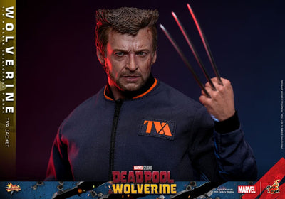 Deadpool & Wolverine Movie Masterpiece Action Figure 1/6 Wolverine (TVA Jacket Version) 31cm - Action Figures - Hot Toys - Hobby Figures UK
