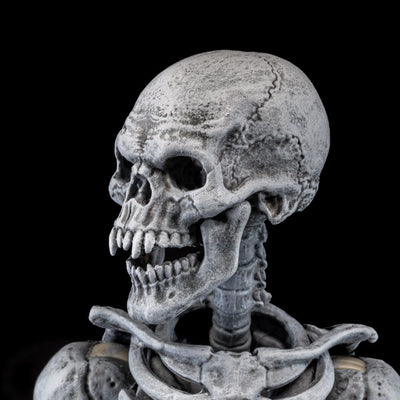 Graveyard Skeletons Actionfigures 4-Pack Graveyard Skeletons - Action Figures - Four Horsemen Toy Design - Hobby Figures UK