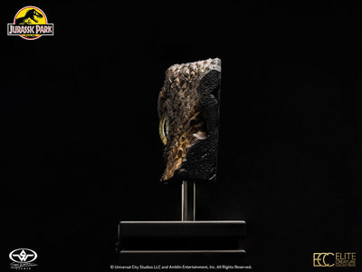 Jurassic Park 1/1 Replica Bust Velociraptor Eye 23cm - Scale Statue - Elite Creature Collectibles - Hobby Figures UK
