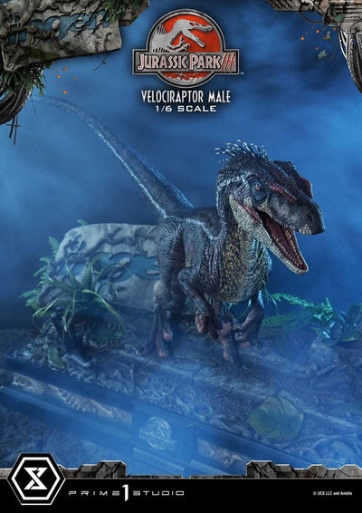 Jurassic Park III Legacy Museum Collection Statue 1/6 Velociraptor Male 40cm - Scale Statue - Prime 1 Studio - Hobby Figures UK