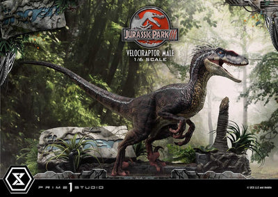 Jurassic Park III Legacy Museum Collection Statue 1/6 Velociraptor Male 40cm - Scale Statue - Prime 1 Studio - Hobby Figures UK