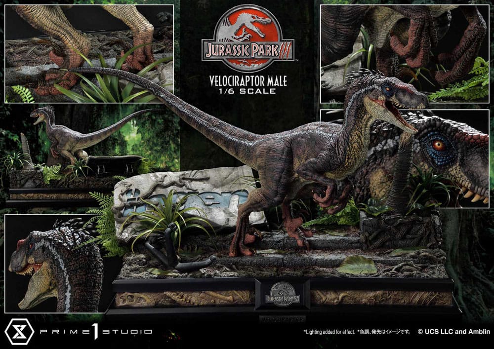 Jurassic Park III Legacy Museum Collection Statue 1/6 Velociraptor Male 40cm - Scale Statue - Prime 1 Studio - Hobby Figures UK