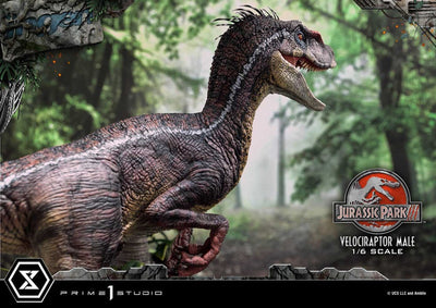 Jurassic Park III Legacy Museum Collection Statue 1/6 Velociraptor Male 40cm - Scale Statue - Prime 1 Studio - Hobby Figures UK