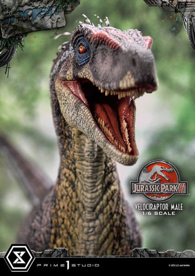 Jurassic Park III Legacy Museum Collection Statue 1/6 Velociraptor Male 40cm - Scale Statue - Prime 1 Studio - Hobby Figures UK