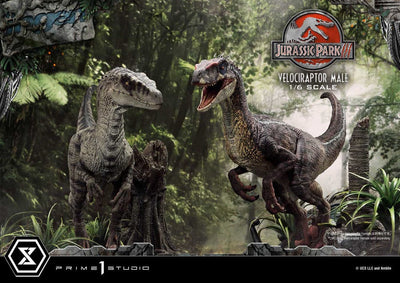 Jurassic Park III Legacy Museum Collection Statue 1/6 Velociraptor Male 40cm - Scale Statue - Prime 1 Studio - Hobby Figures UK