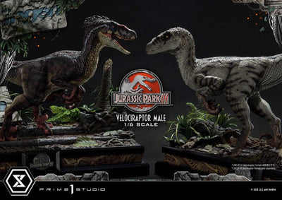Jurassic Park III Legacy Museum Collection Statue 1/6 Velociraptor Male 40cm - Scale Statue - Prime 1 Studio - Hobby Figures UK