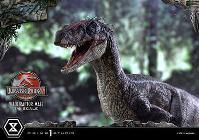Jurassic Park III Legacy Museum Collection Statue 1/6 Velociraptor Male 40cm - Scale Statue - Prime 1 Studio - Hobby Figures UK