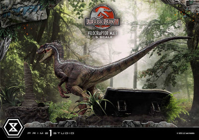 Jurassic Park III Legacy Museum Collection Statue 1/6 Velociraptor Male 40cm - Scale Statue - Prime 1 Studio - Hobby Figures UK
