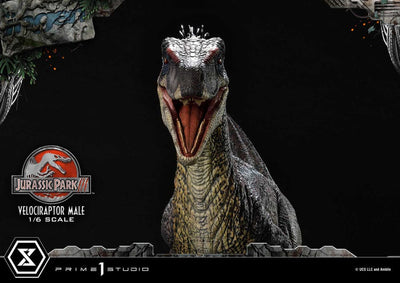 Jurassic Park III Legacy Museum Collection Statue 1/6 Velociraptor Male 40cm - Scale Statue - Prime 1 Studio - Hobby Figures UK