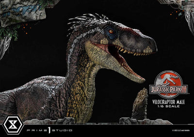 Jurassic Park III Legacy Museum Collection Statue 1/6 Velociraptor Male 40cm - Scale Statue - Prime 1 Studio - Hobby Figures UK
