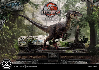 Jurassic Park III Legacy Museum Collection Statue 1/6 Velociraptor Male 40cm - Scale Statue - Prime 1 Studio - Hobby Figures UK