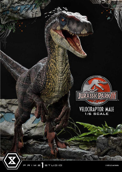Jurassic Park III Legacy Museum Collection Statue 1/6 Velociraptor Male 40cm - Scale Statue - Prime 1 Studio - Hobby Figures UK