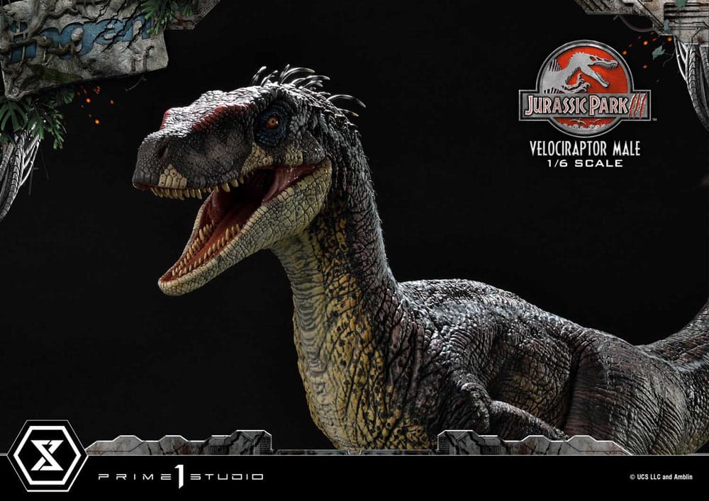 Jurassic Park III Legacy Museum Collection Statue 1/6 Velociraptor Male 40cm - Scale Statue - Prime 1 Studio - Hobby Figures UK
