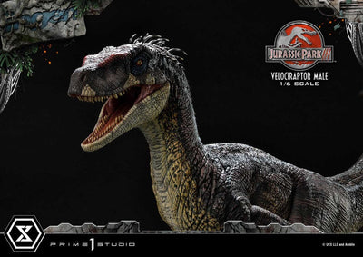 Jurassic Park III Legacy Museum Collection Statue 1/6 Velociraptor Male 40cm - Scale Statue - Prime 1 Studio - Hobby Figures UK