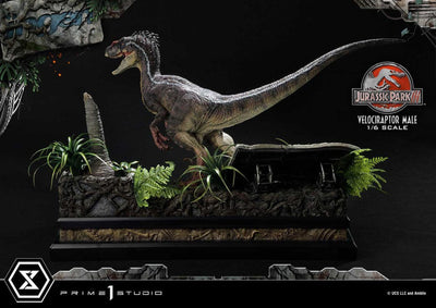 Jurassic Park III Legacy Museum Collection Statue 1/6 Velociraptor Male 40cm - Scale Statue - Prime 1 Studio - Hobby Figures UK