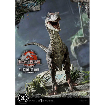 Jurassic Park III Legacy Museum Collection Statue 1/6 Velociraptor Male 40cm - Scale Statue - Prime 1 Studio - Hobby Figures UK