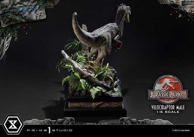 Jurassic Park III Legacy Museum Collection Statue 1/6 Velociraptor Male 40cm - Scale Statue - Prime 1 Studio - Hobby Figures UK